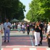 Bulevardul Tomis pietonal – OMD Mamaia Constanța propune o dezbatere publică și o decizie echilibrată, în interesul comunității
