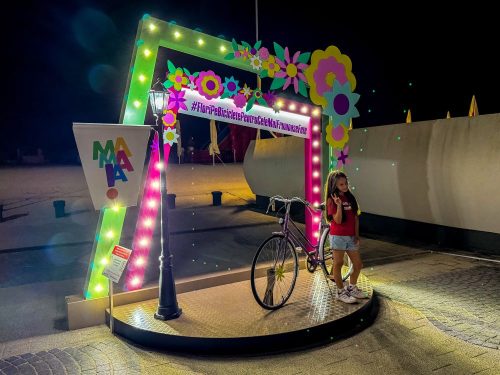 Flori-pe-Biciclete-pentru-Cele-mai-Frumoase-Fete-2