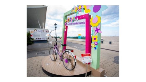 Flori-pe-Biciclete-pentru-Cele-mai-Frumoase-Fete-5